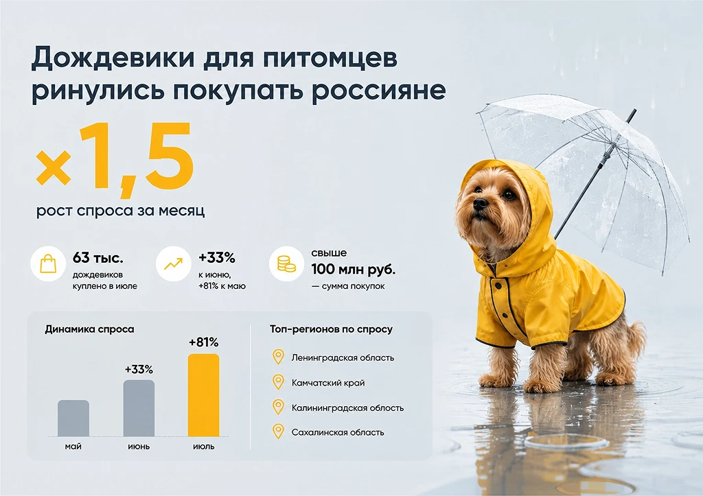 Питомцы по моде и по погоде: продажи дождевиков для животных бьют рекорды