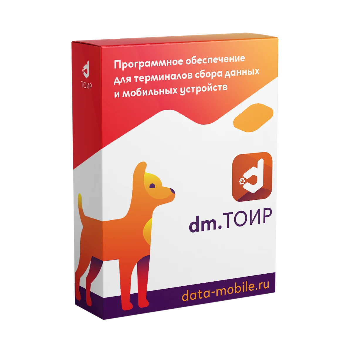 DM.ТОИР
